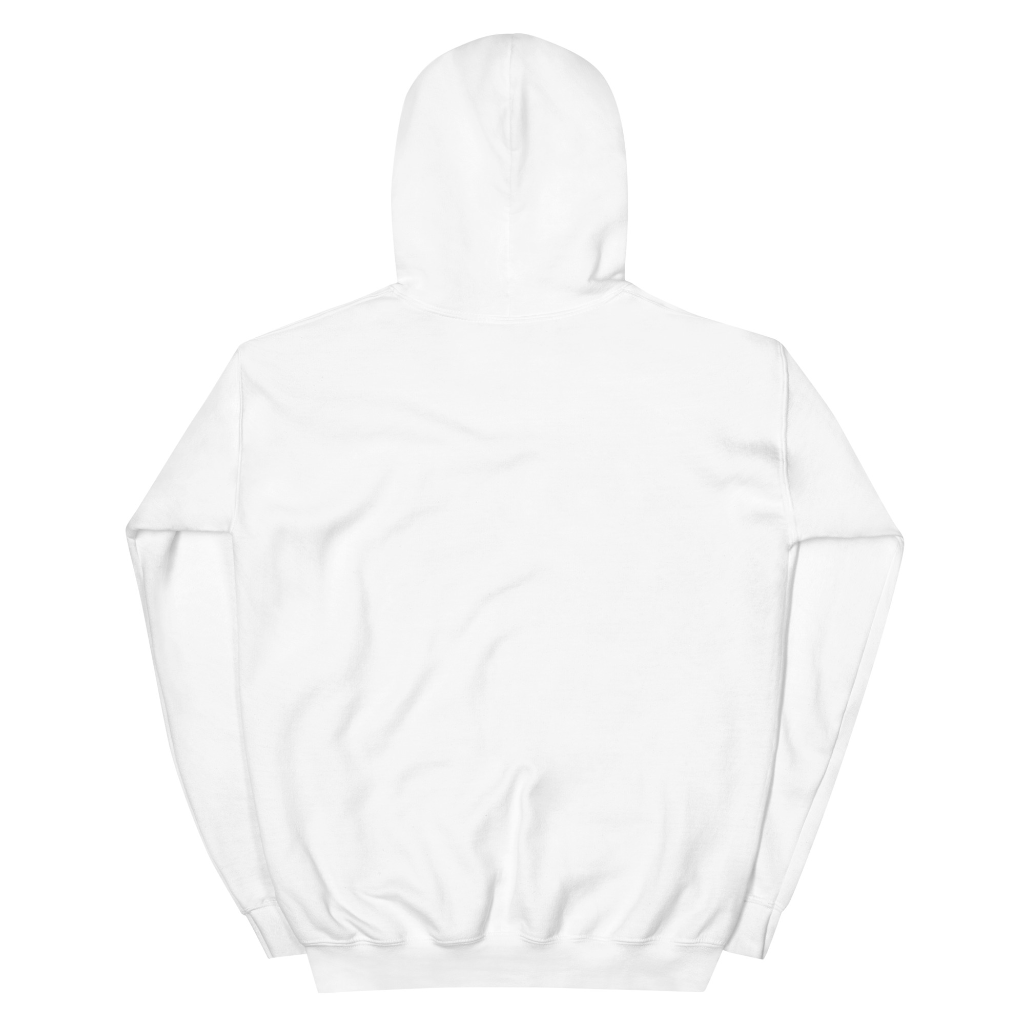 DVE Palm Treez Black & Green SD Logo Hoodie - Image 2
